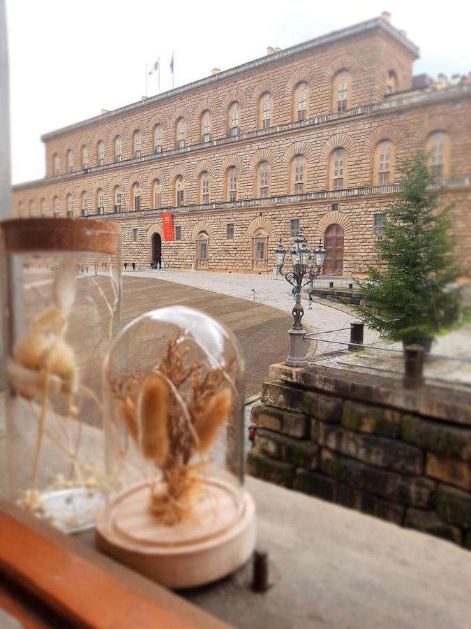 Piazza Pitti View Florencia